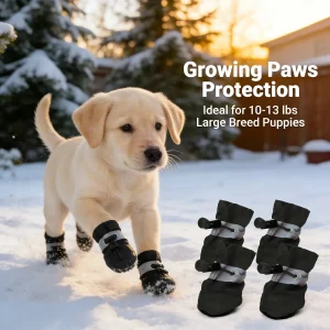 Small Dog Puppy Shoes